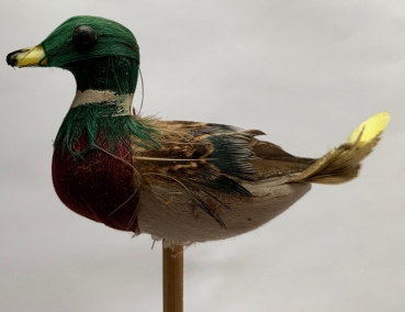 Ente (Erpel) auf Stab